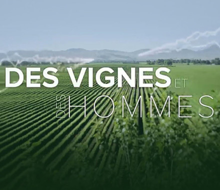 Des vignes et des hommes / ARTE